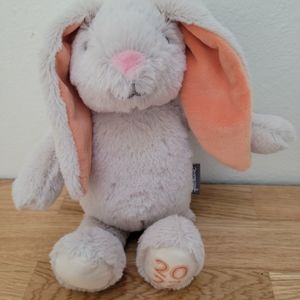 Hallmark 2022 Bunny Orange Ears Plush